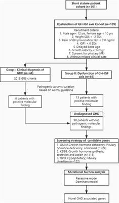 Whole Exome Sequencing Uncovered the Genetic Architecture of Growth Hormone Deficiency Patients